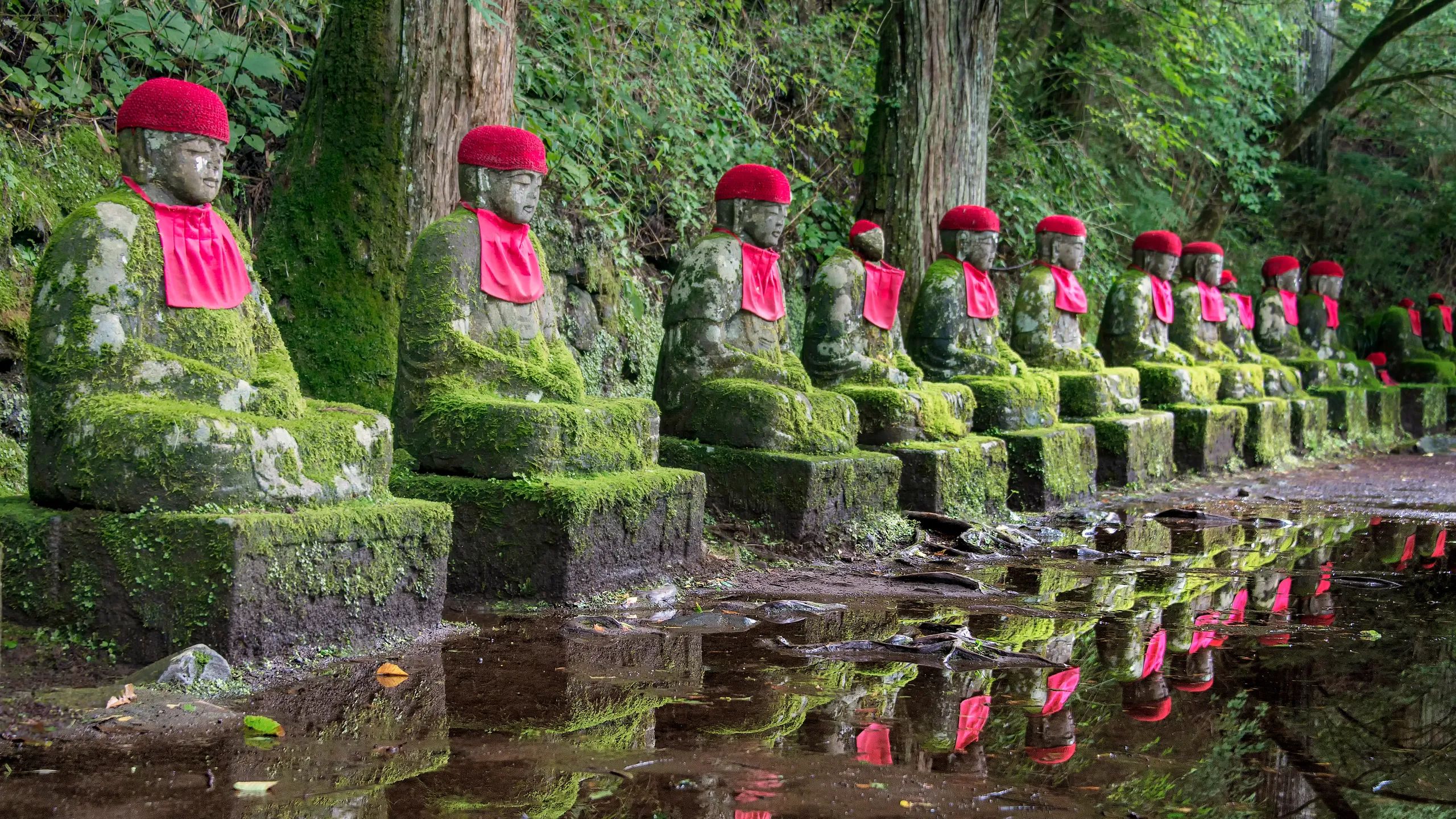 🏞️ 간만가후치 심연(간만가후치) 이미지 6